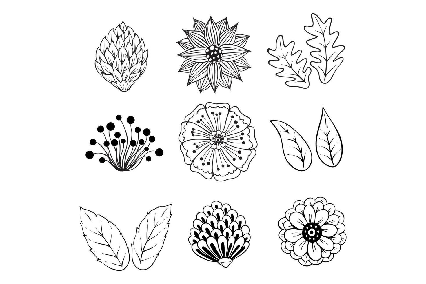 set of hand drawn spring flower and leaves vector