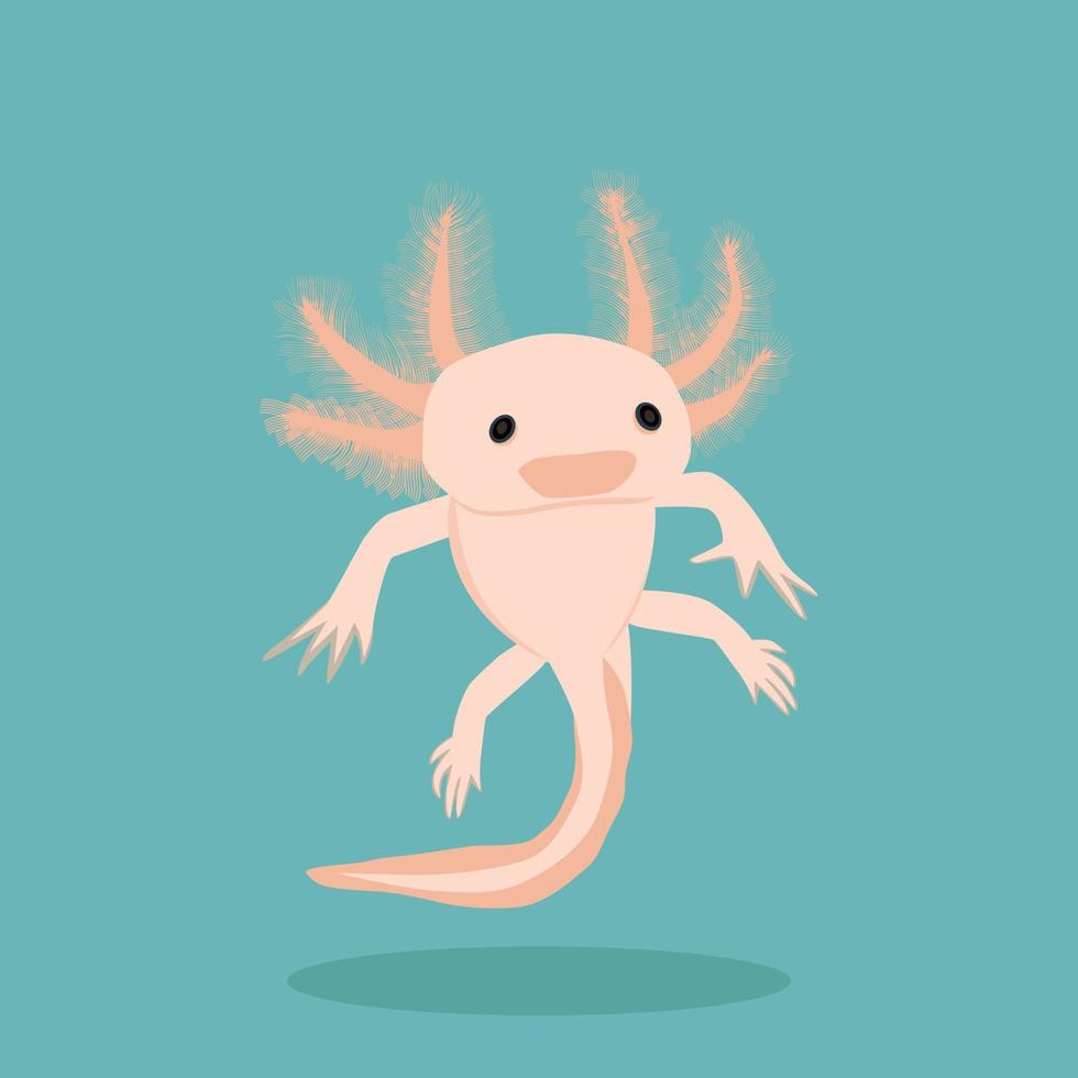 Pink Axolotl on a blue background. vector