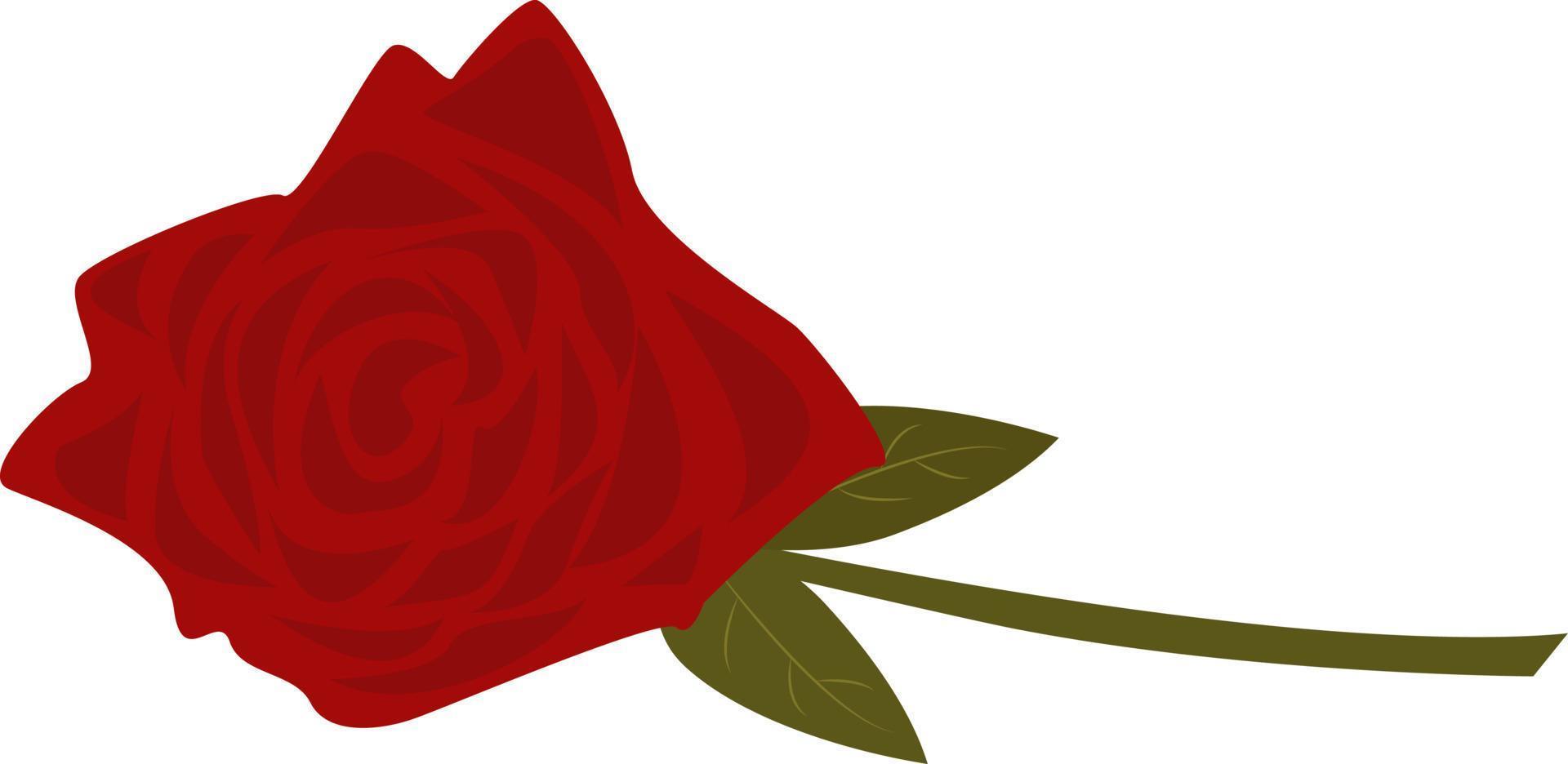 una flor rosa roja con hojas verdes sobre un fondo blanco. elemento vectorial decorativo para celebraciones y bodas del día de san valentín. para sitios web e interfaces, aplicaciones móviles, íconos, postales vector