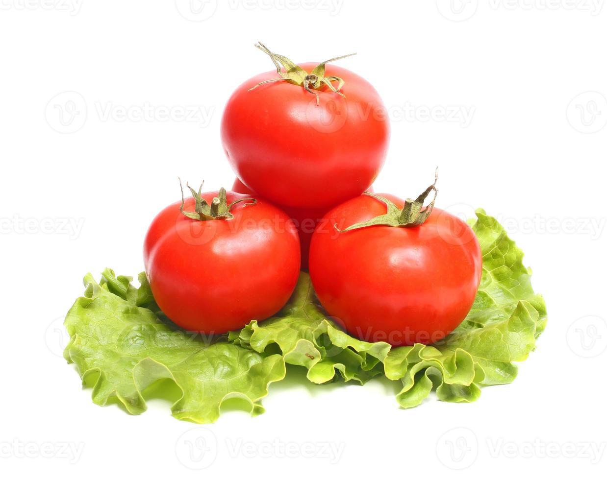 red tomatoes and green lettuce photo