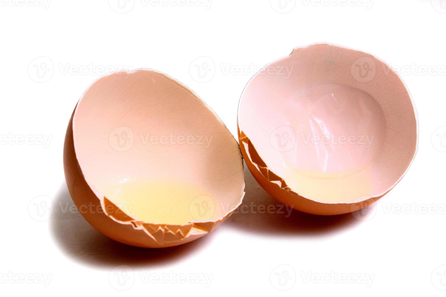 shell of egg photo