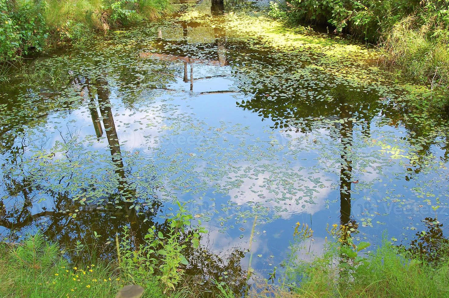 blue sky is reflected in pond photo