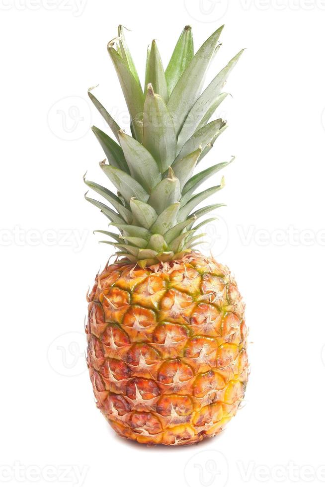 pineapple tropical fruit photo