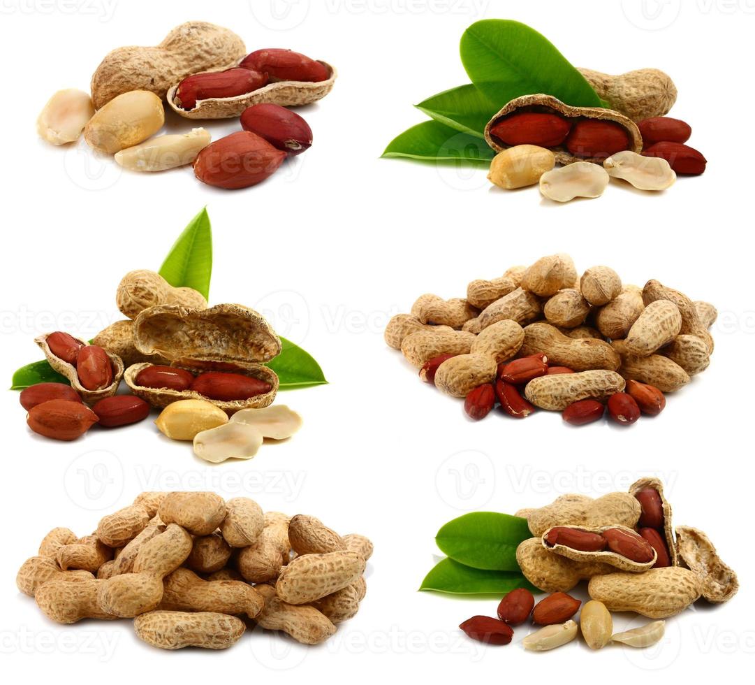 peanut nut organic food photo