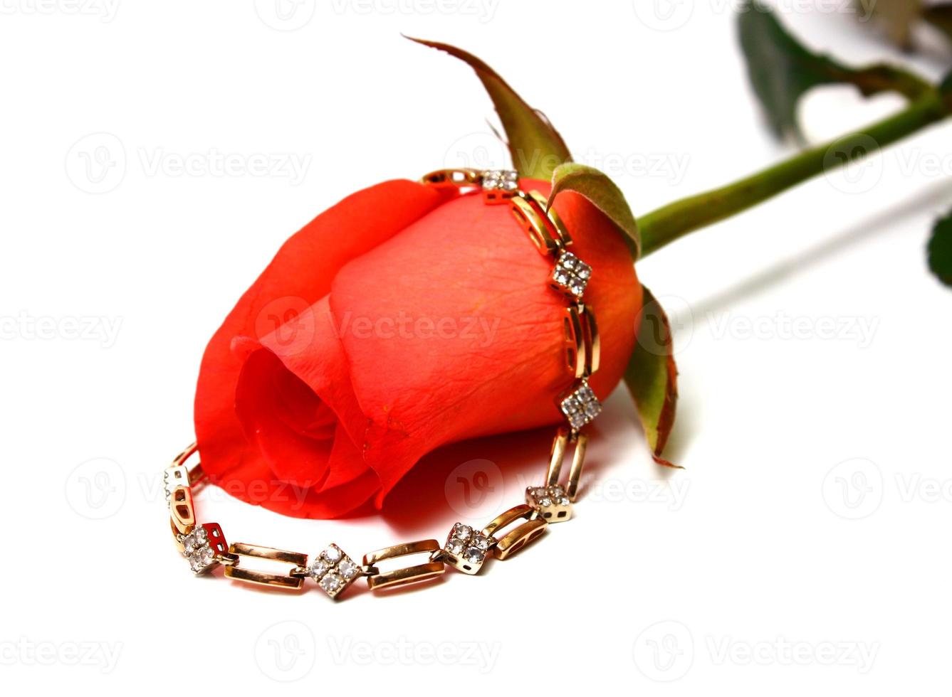 rose and gold bangle photo