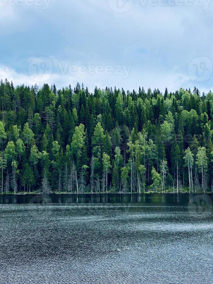 Majestic forest and picturesque river northern scenic environment Karelia photo