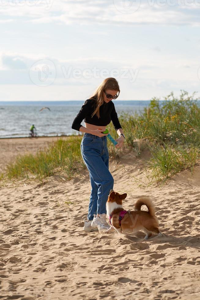 Young happy couple and dog walking along beach. Woman playing with Corgi puppy on leash. photo