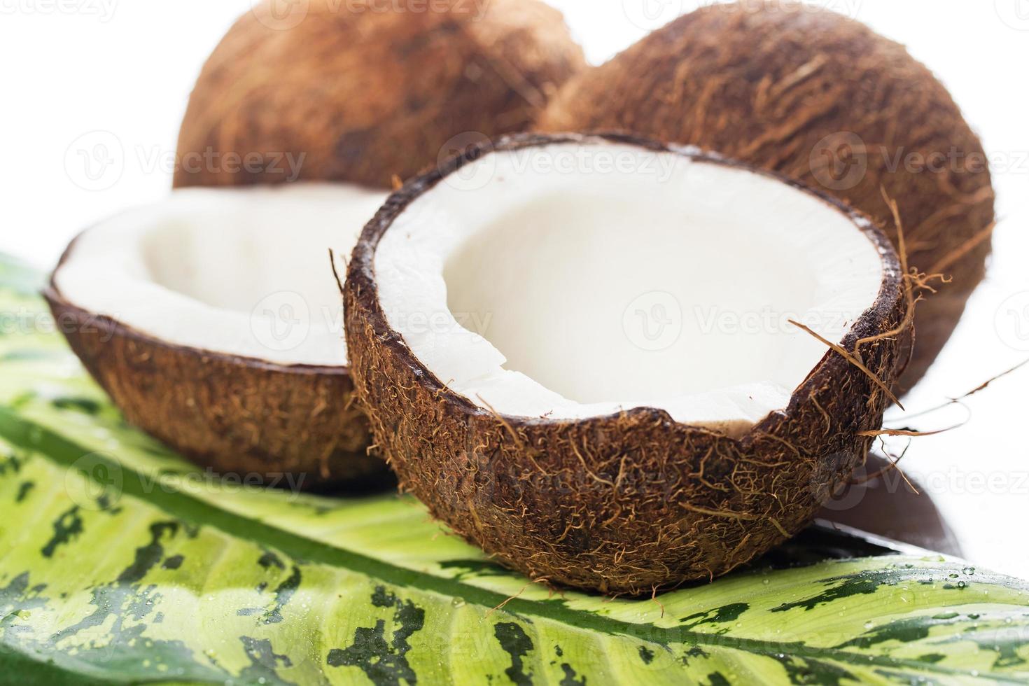 Coconuts on green leaf photo