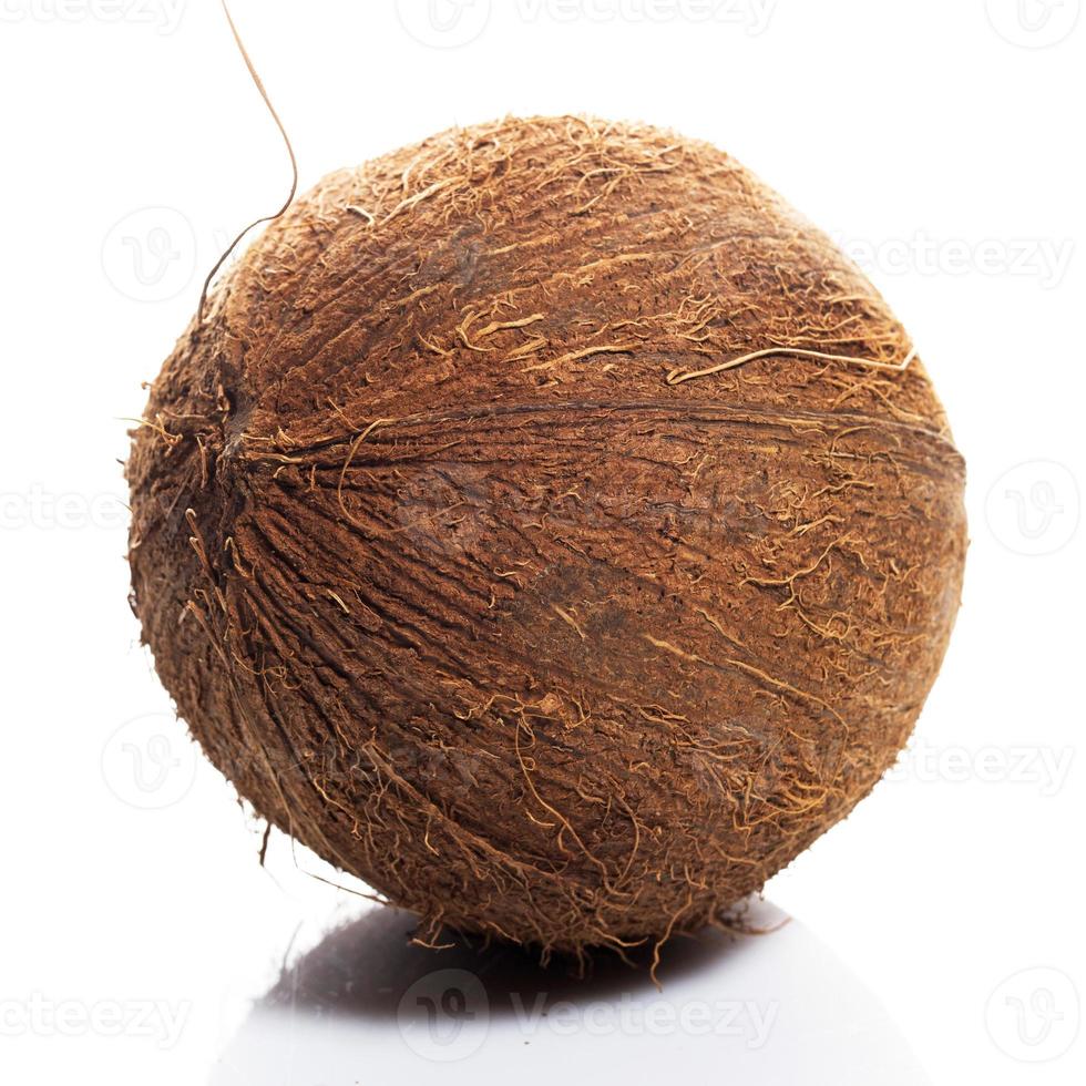 Coconuts on white background photo