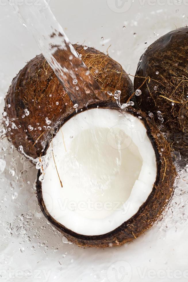 Coconuts and water splash photo