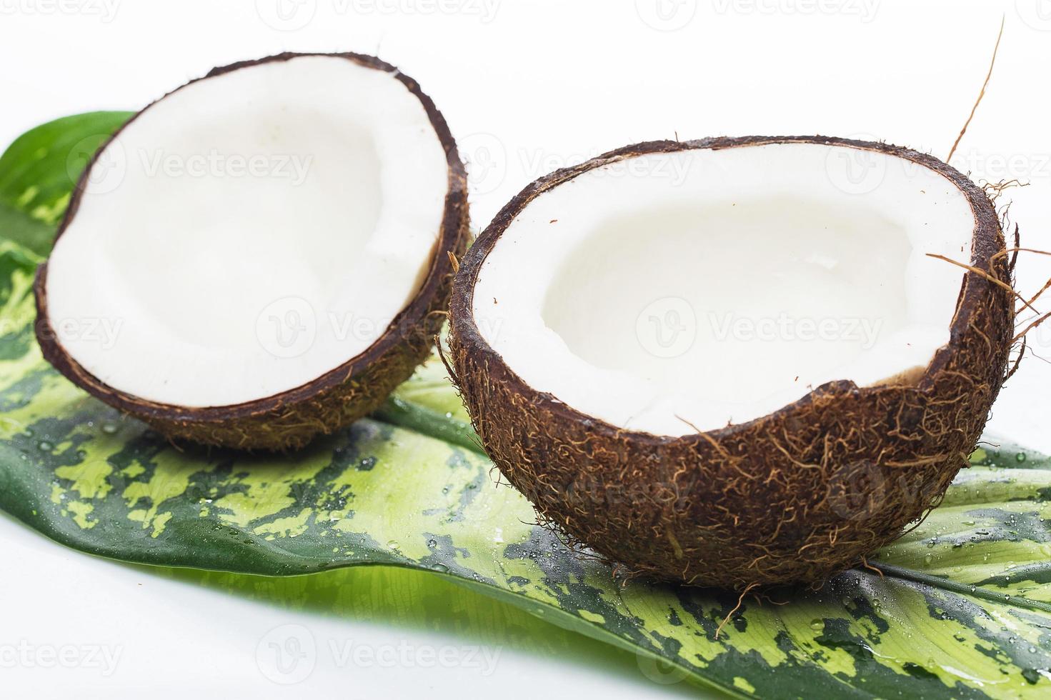Coconuts on white background photo