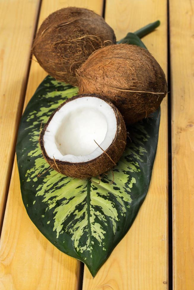 Closeup of fresh coconuts photo