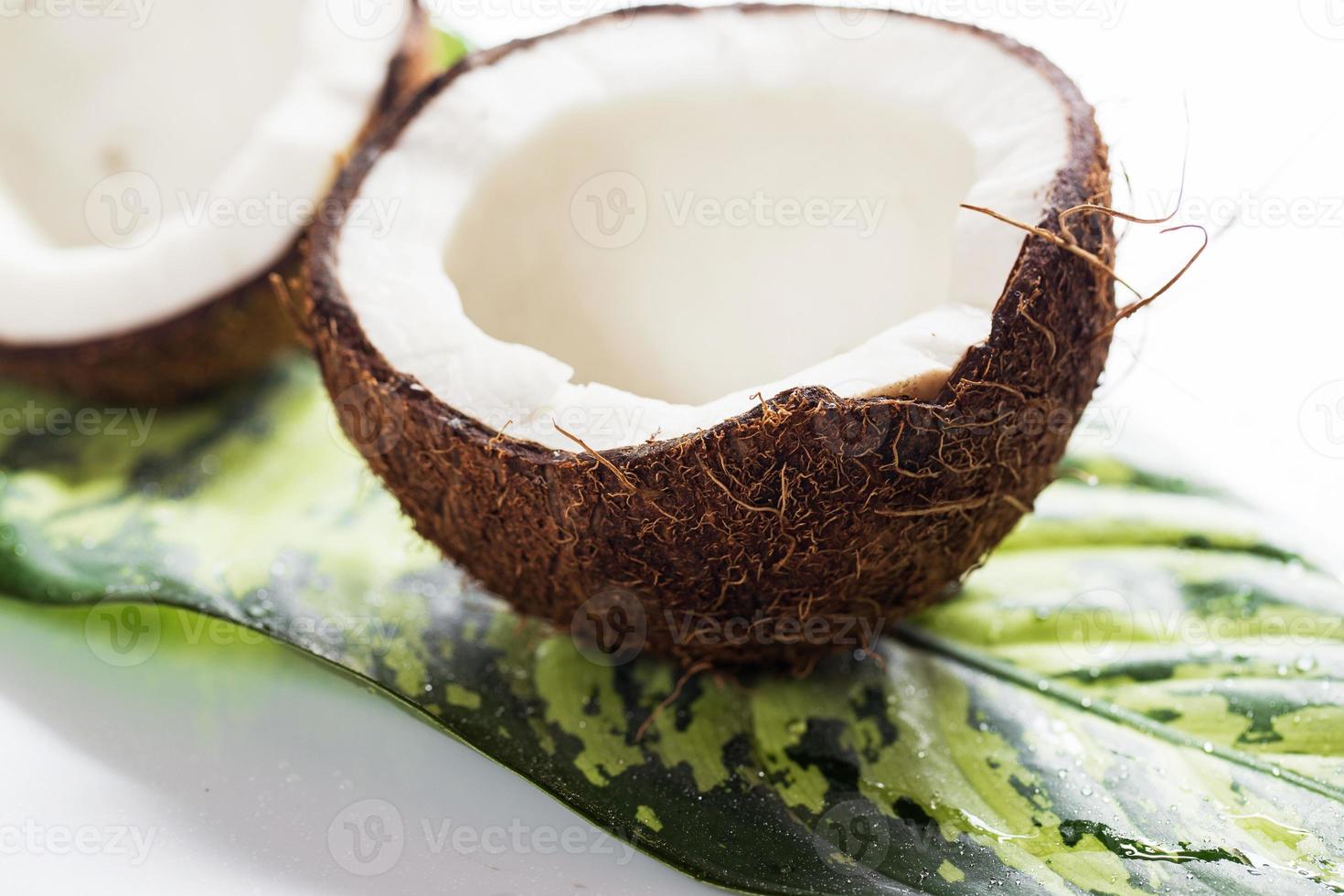 Coconuts on white background photo