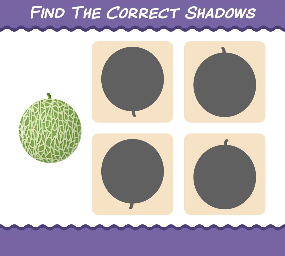 Find the correct shadows of cartoon melons. Searching and Matching game. Educational game for pre shool years kids and toddlers vector