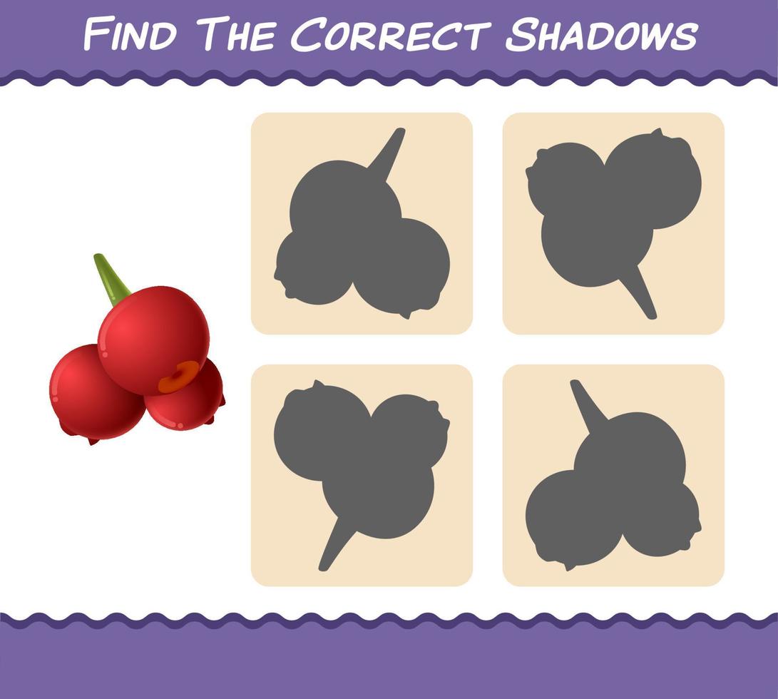 Find the correct shadows of cartoon cranberries. Searching and Matching game. Educational game for pre shool years kids and toddlers vector