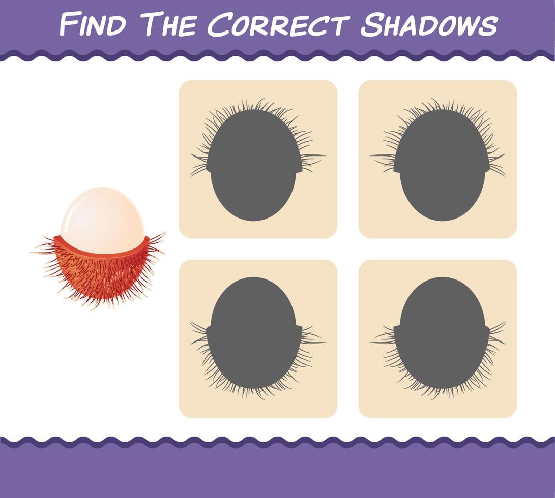 Find the correct shadows of cartoon rambutans. Searching and Matching game. Educational game for pre shool years kids and toddlers vector