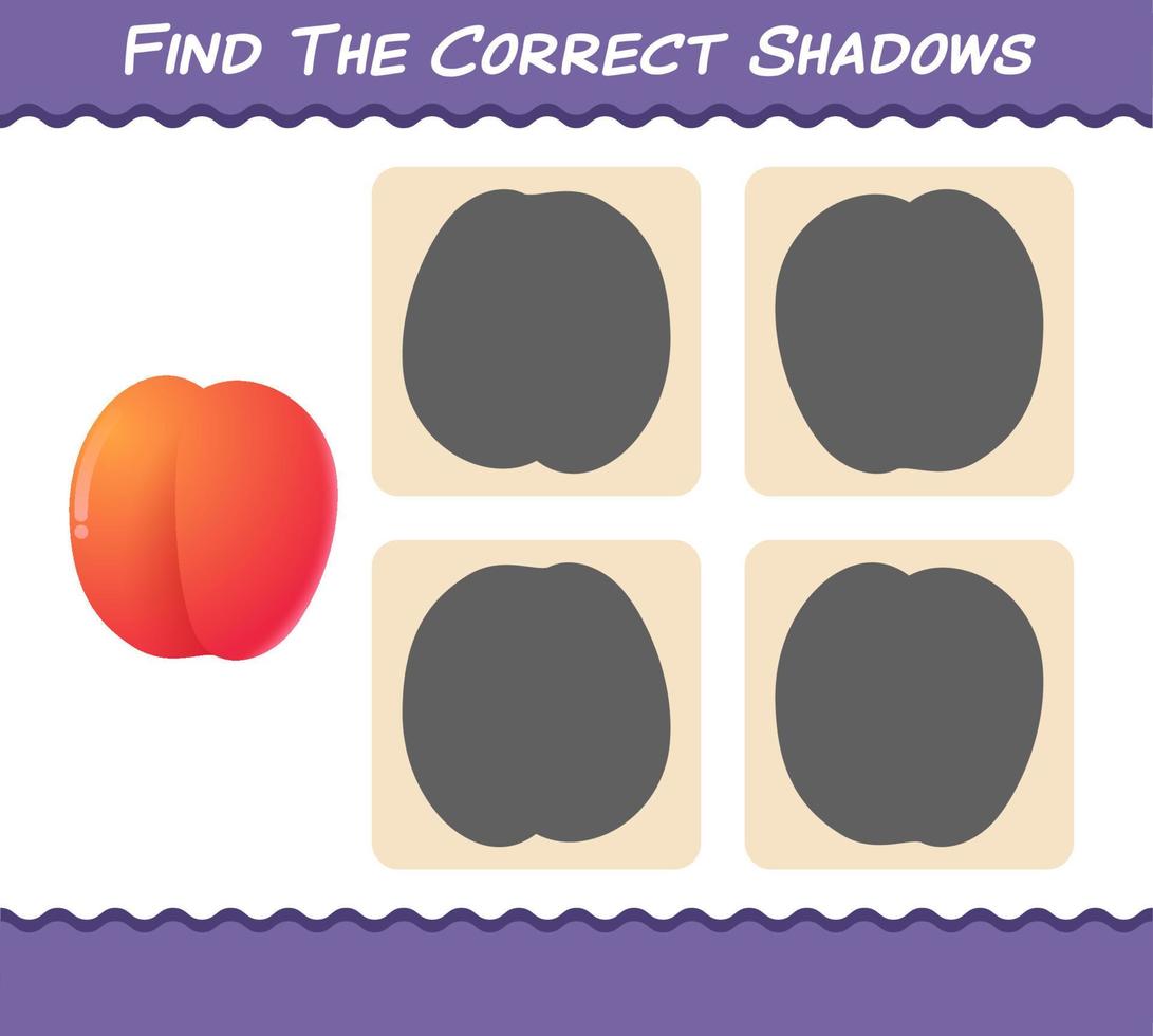 Find the correct shadows of cartoon nectarines. Searching and Matching game. Educational game for pre shool years kids and toddlers vector