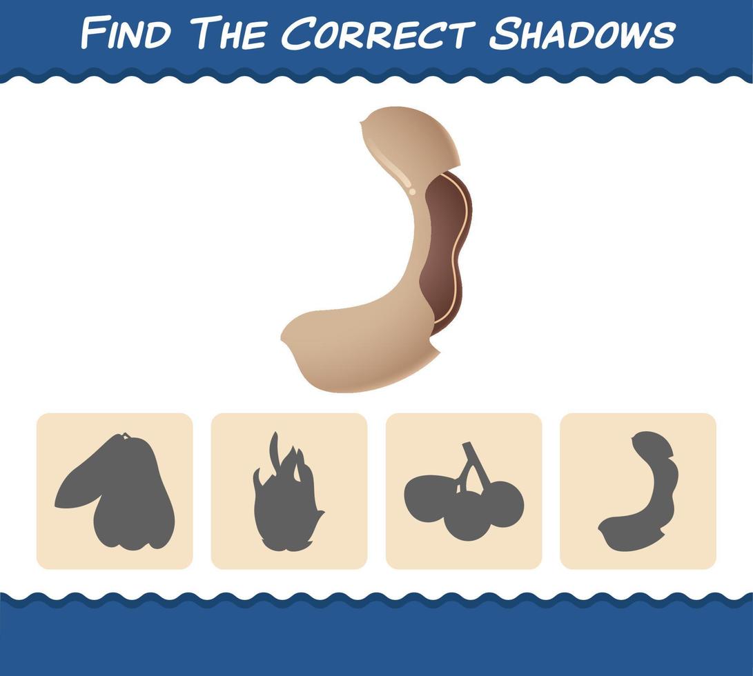 Find the correct shadows of cartoon tamarinds. Searching and Matching game. Educational game for pre shool years kids and toddlers vector