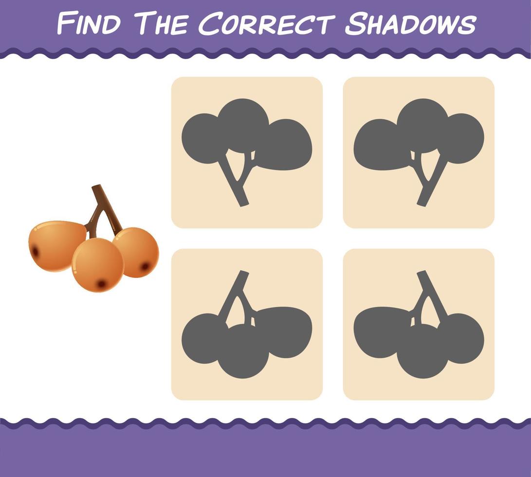 Find the correct shadows of cartoon loquats. Searching and Matching game. Educational game for pre shool years kids and toddlers vector