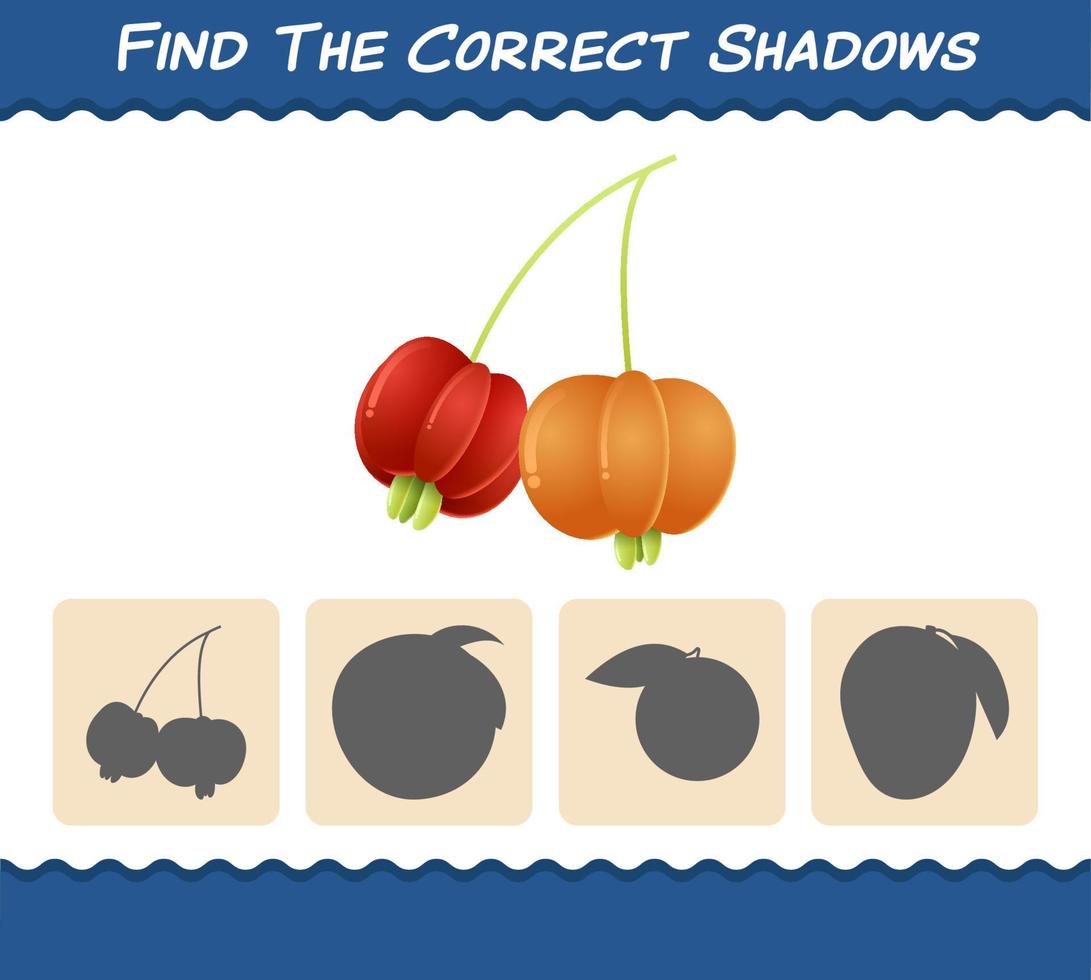 Find the correct shadows of cartoon pitangas. Searching and Matching game. Educational game for pre shool years kids and toddlers vector