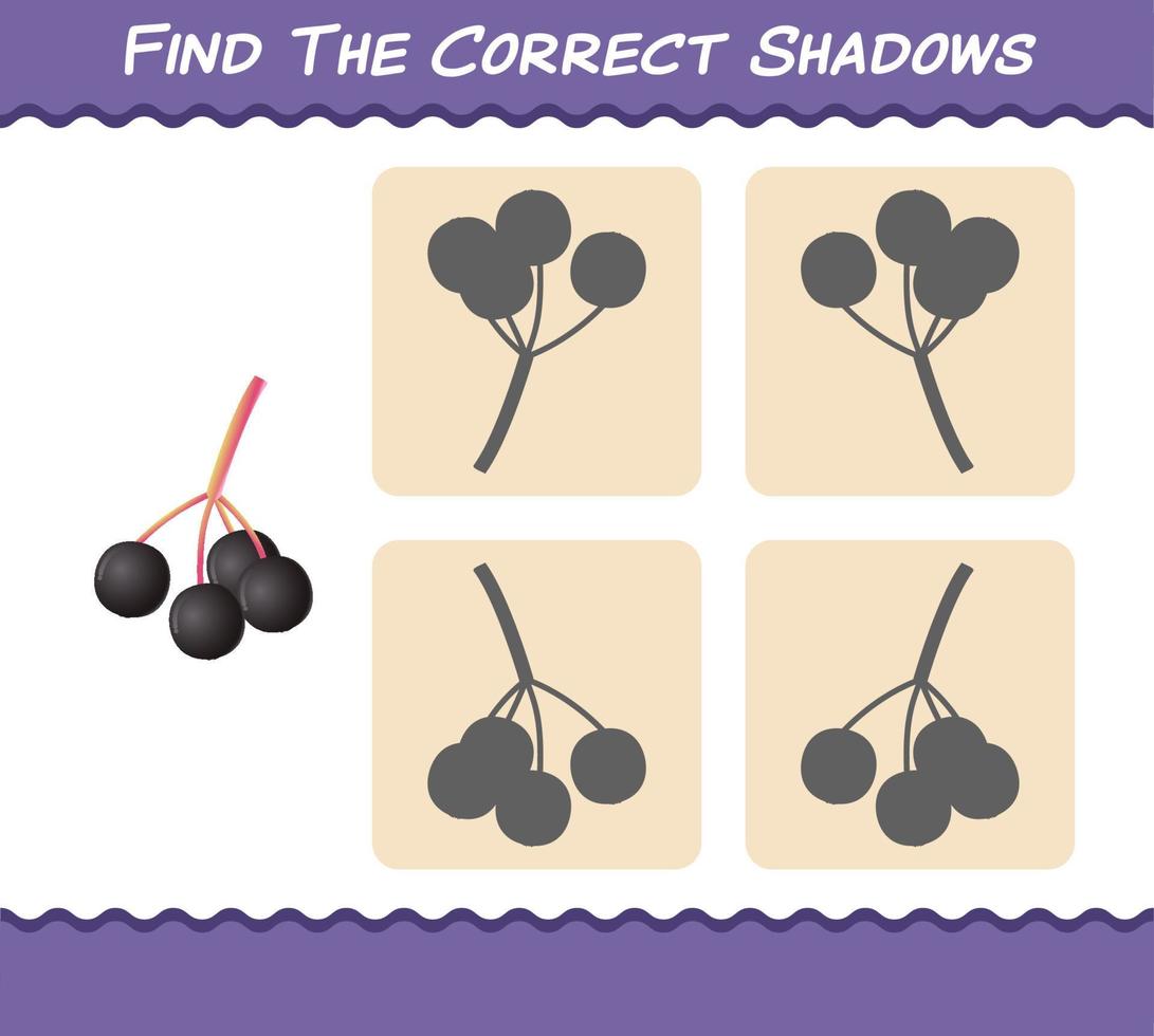 Find the correct shadows of cartoon elderberries. Searching and Matching game. Educational game for pre shool years kids and toddlers vector