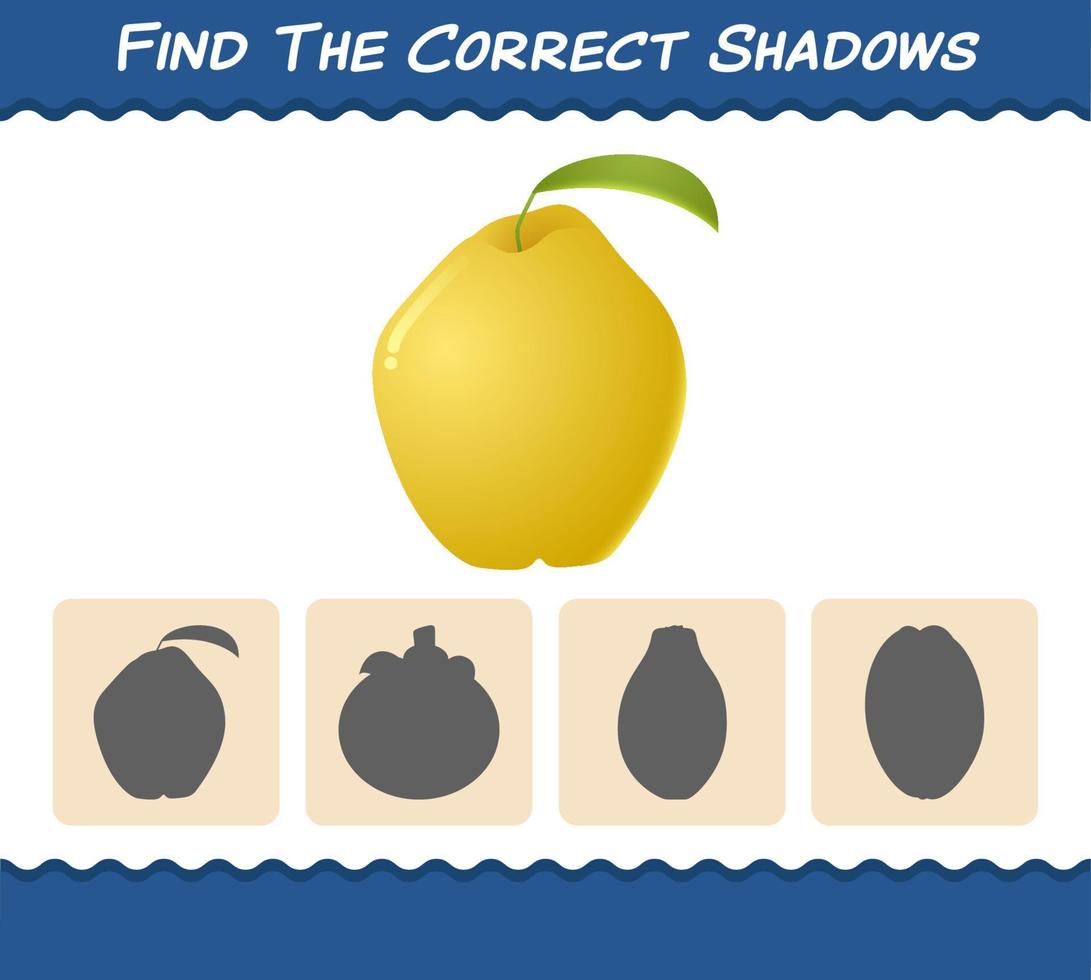 Find the correct shadows of cartoon quinces. Searching and Matching game. Educational game for pre shool years kids and toddlers vector