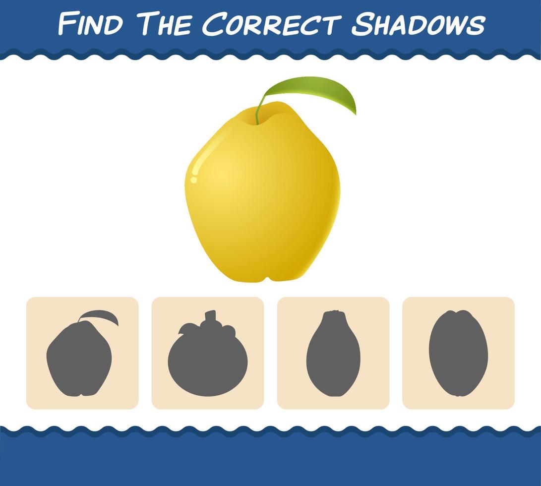 encuentra las sombras correctas de membrillos de dibujos animados. juego de búsqueda y emparejamiento. juego educativo para niños y niños pequeños en edad preescolar vector