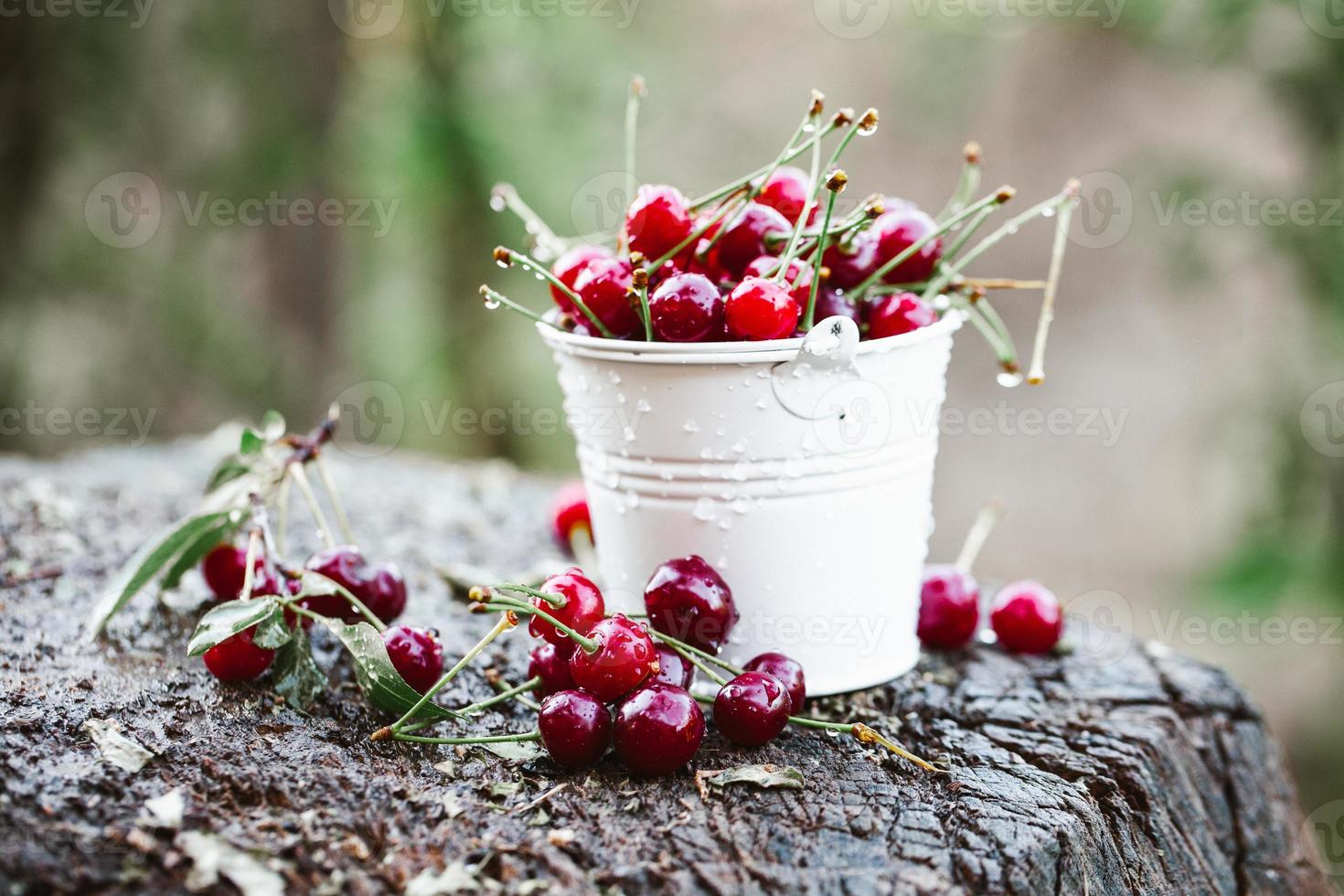 Fresh cherries in bowl. Close up view of pile of red ripe cherries. Red fruits in garden. photo