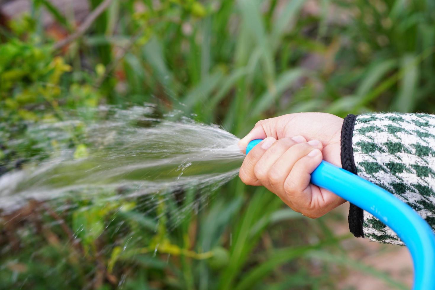 Farmer's hands spraying water on trees photo