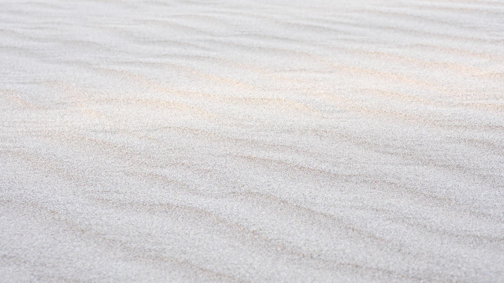 sand background blown by the wind photo