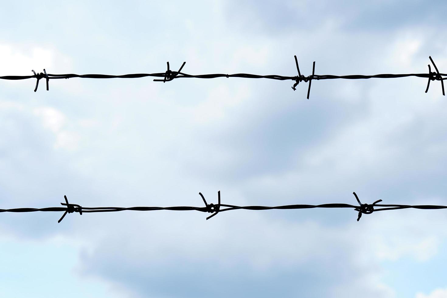 ratchet wire above the walls of the cell photo