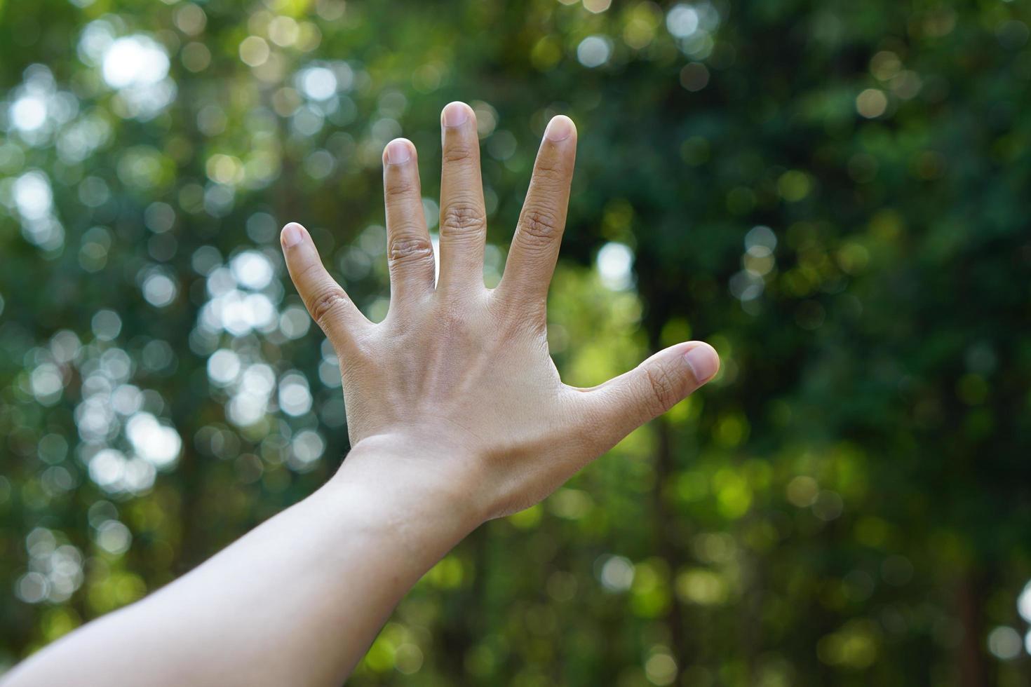 human hand raised green bokeh background photo