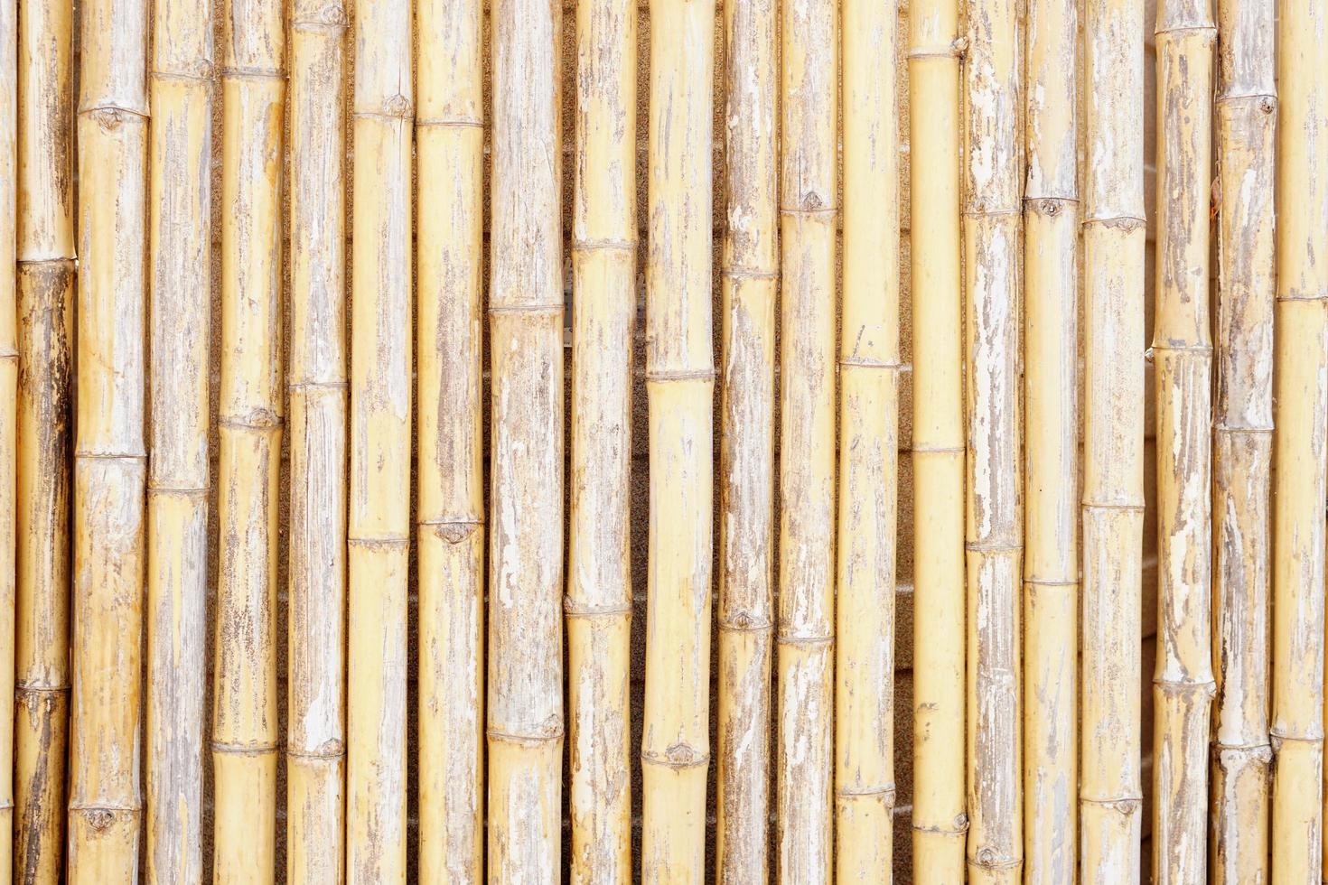 beautiful lined dried bamboo background photo
