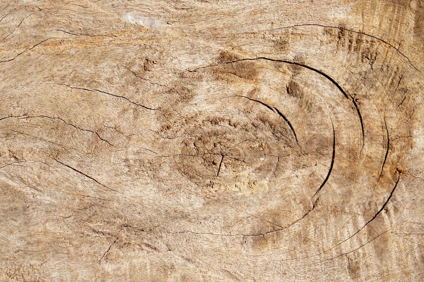 old wooden floor has a beautiful pattern. photo