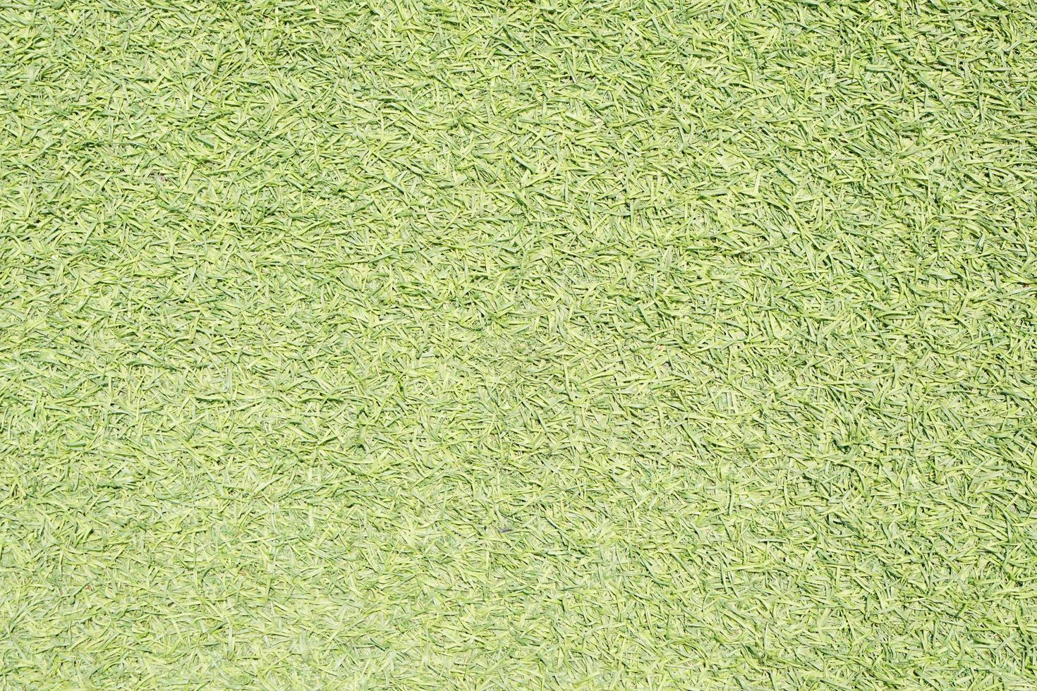 Green artificial grass background is used instead of real grass. photo