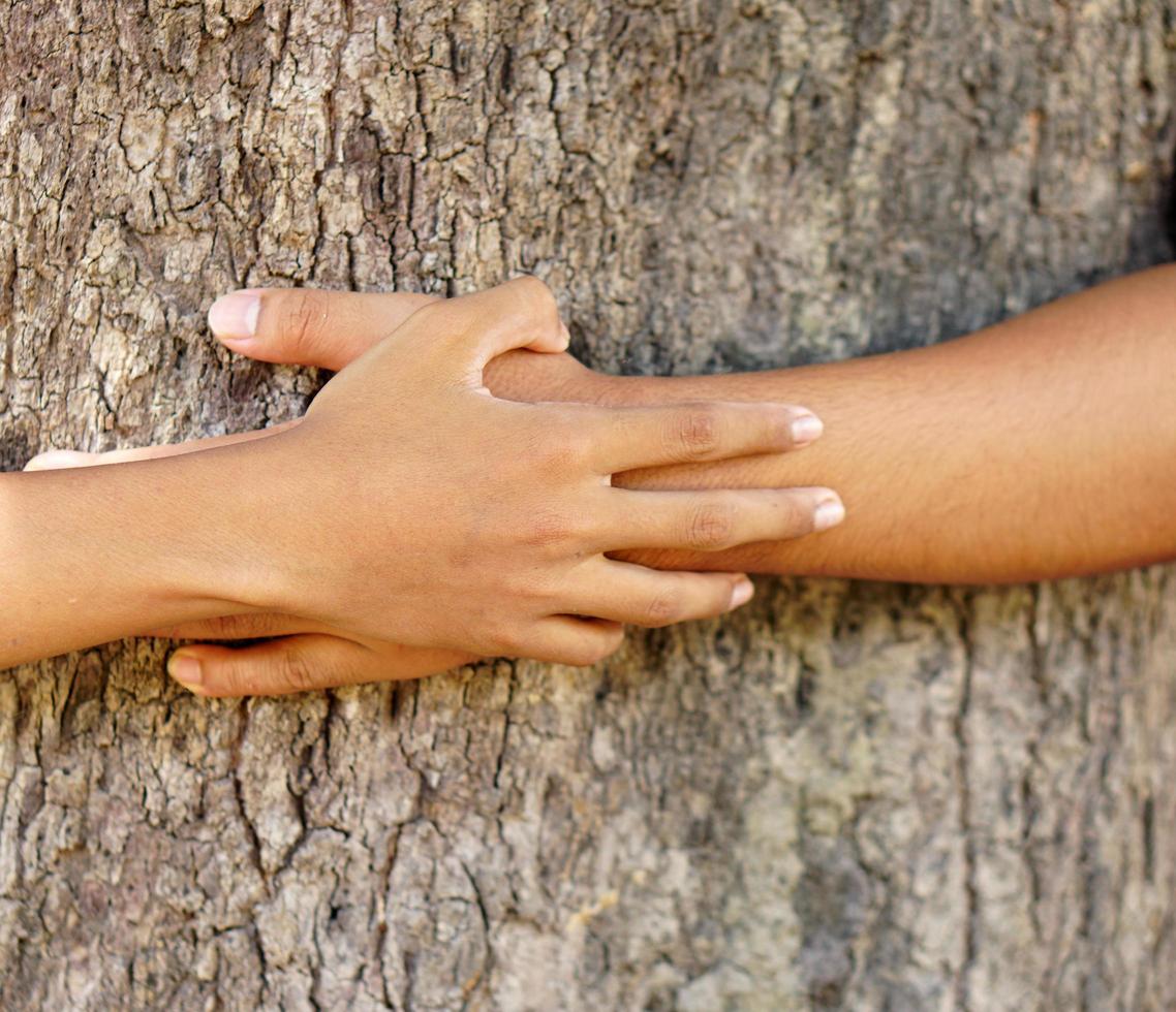 concepto de amor a la tierra, mano humana tocando el árbol con amor foto