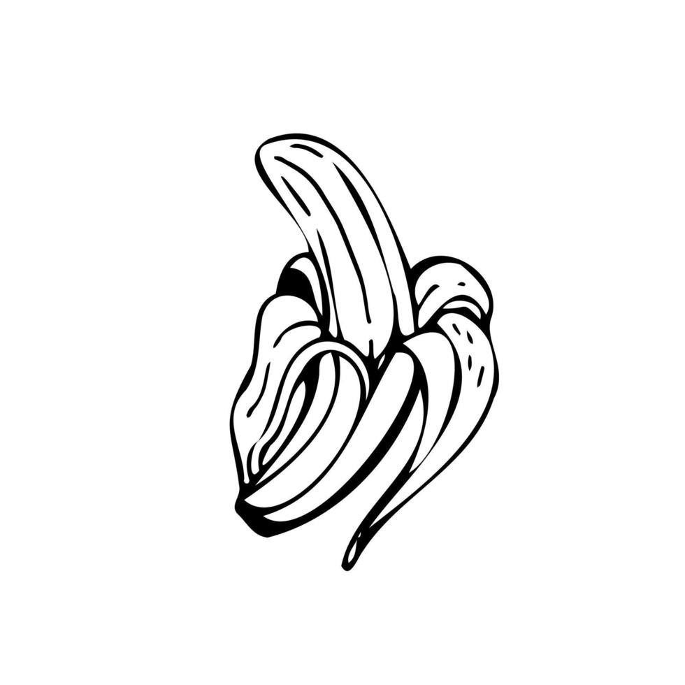 Banana thin black lines on a white background - Vector