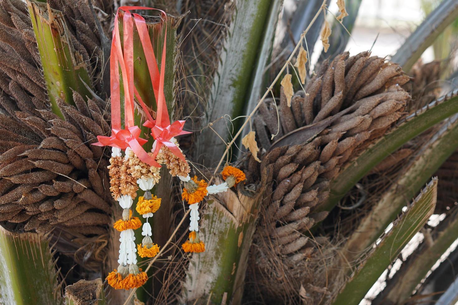 The dried garland was left on the tree. photo