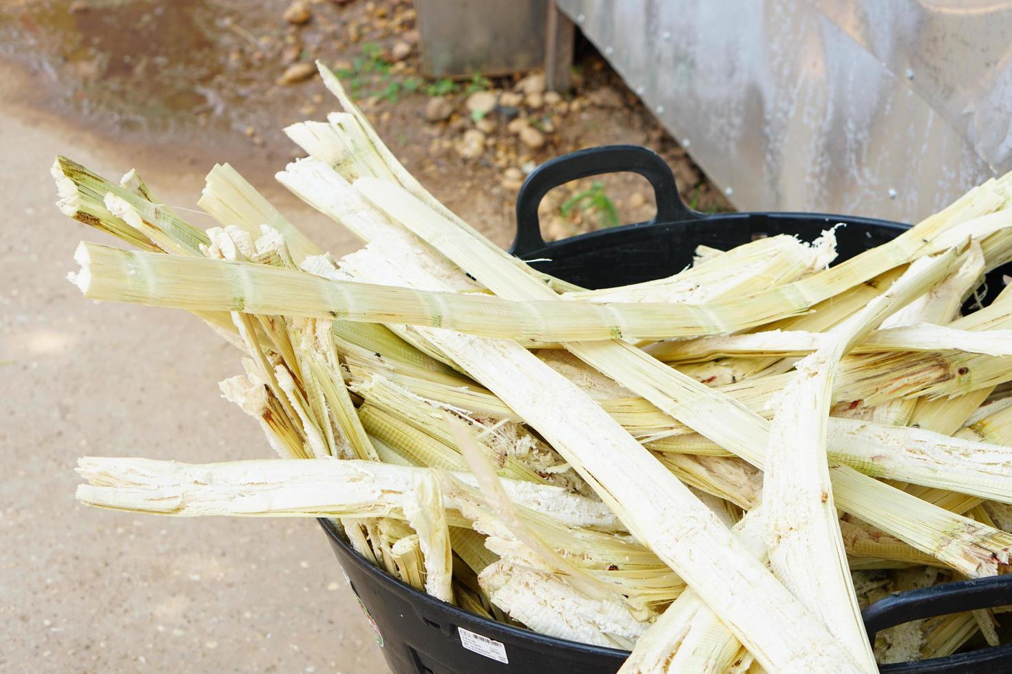 remains of sugar cane that have been squeezed out photo