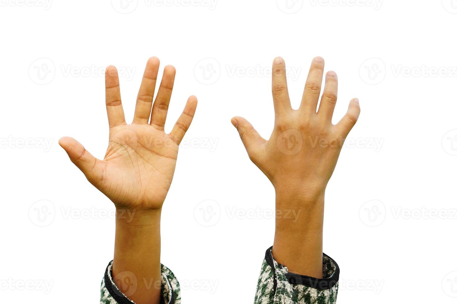 hands front and back on a white background photo