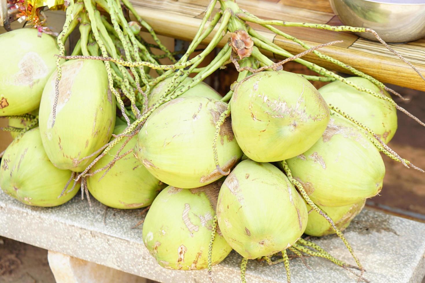 Fresh coconuts sold in the market photo