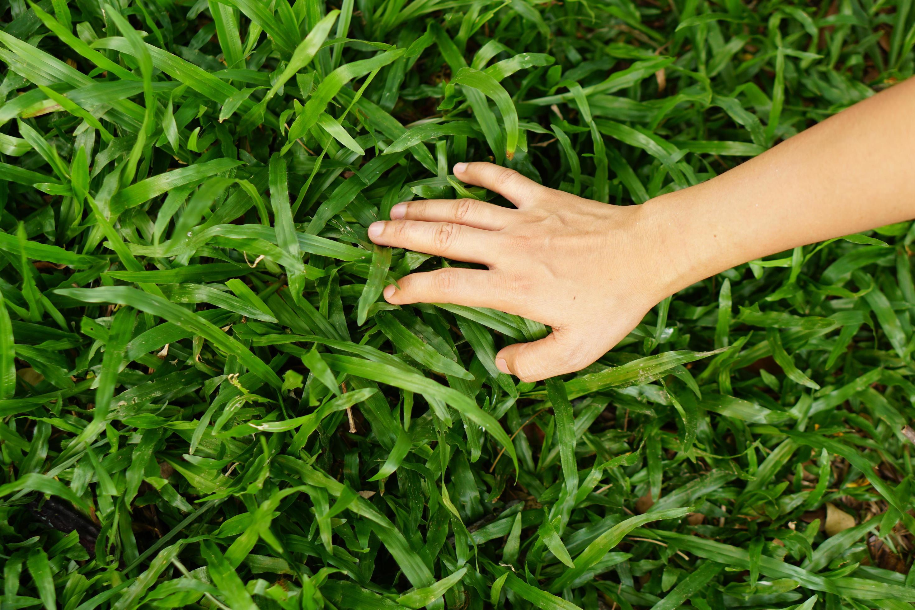 touching grass