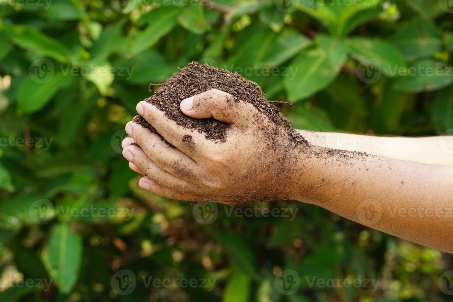 fertile soil in the hands of farmers for planting photo