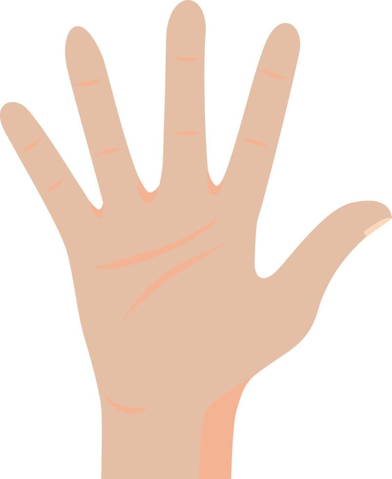 Hand in different position, sign. vector