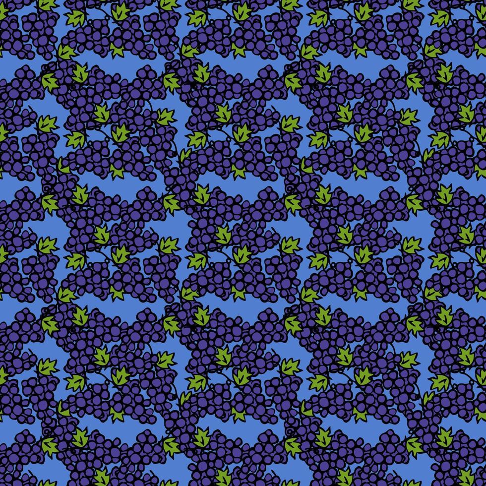 Seamless grape vector pattern. Doodle vector with blue grapes icons. Vintage grapes pattern