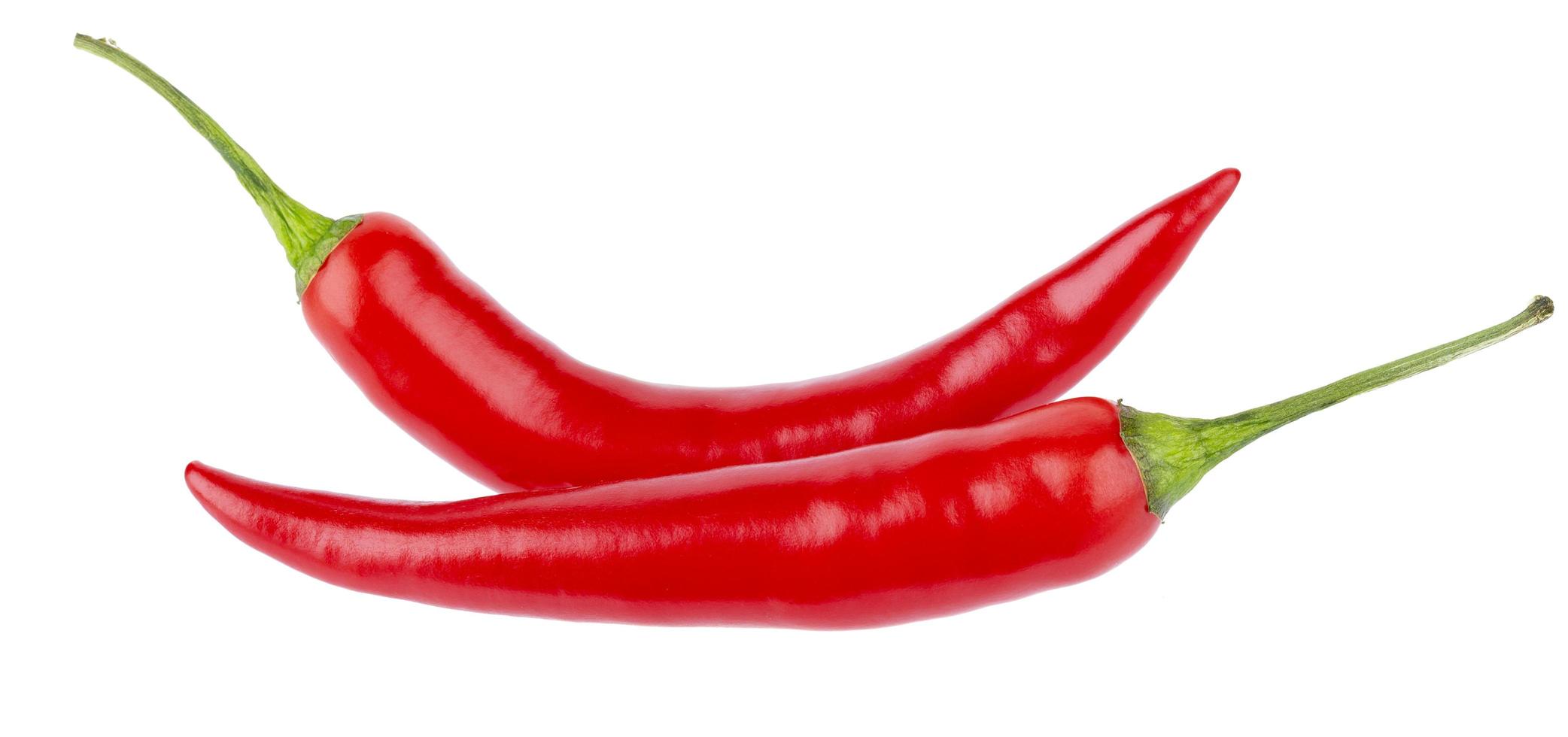 Red chilli isolated on a white background photo