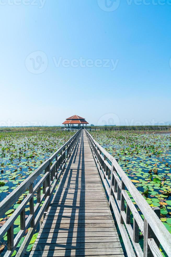 Sam Roi Yot Freshwater Marsh or Bueng Bua Khao Sam Roi Yot National Park photo