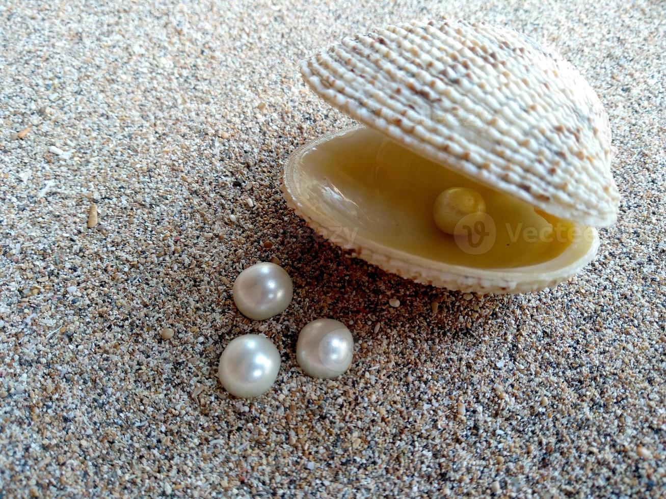 Sea shell with a pearl in the sand photo