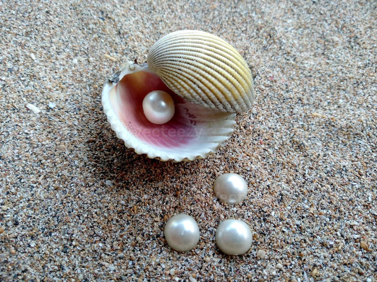 Sea shell with a pearl in the sand photo