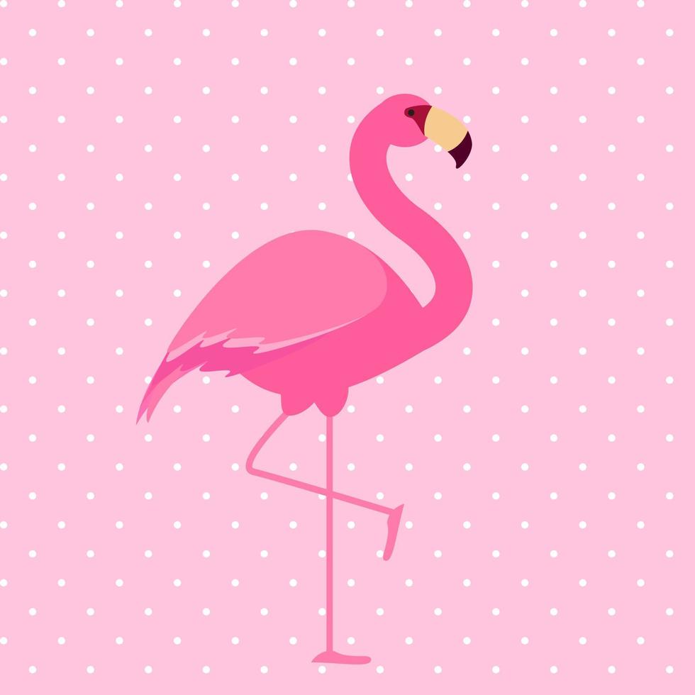 lindo flamenco rosa. ilustración vectorial vector